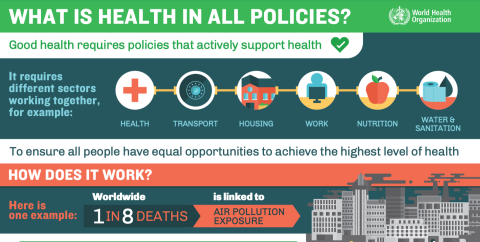 Improving Urban Knowledge Sharing By Analysing Health In All Policies ...