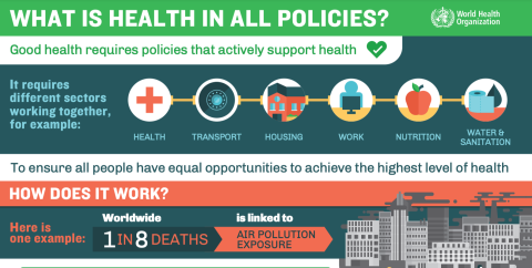 Health in all policies WHO